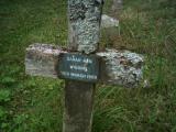 image of grave number 196124